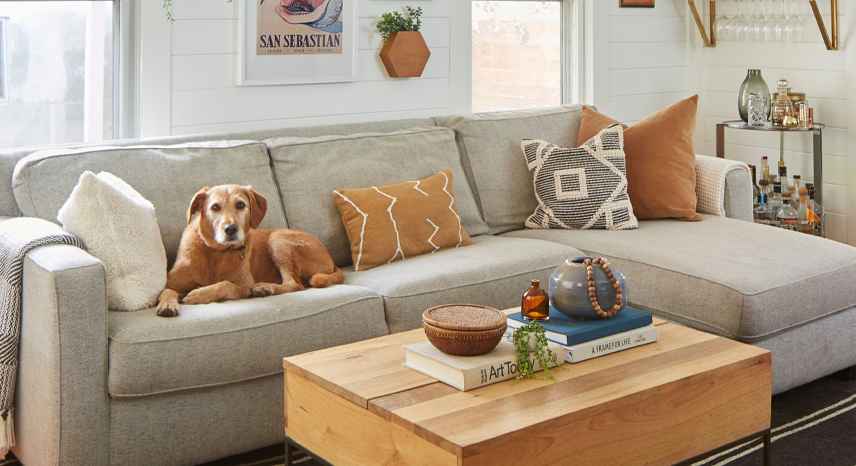 The Best Tips for Choosing the Perfect Sofa for Your Home