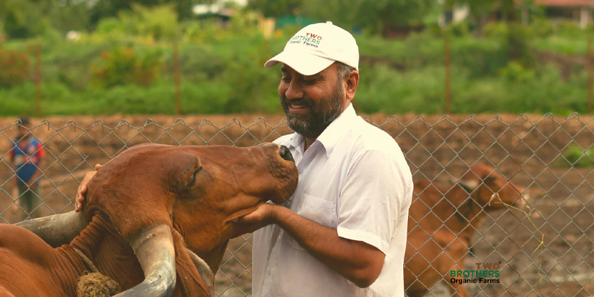 Bovine Colostrum; the nature’s gift to Humankind